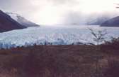 Frente del Glaciar Perito Moreno - Foto: O. Guarnaccia
