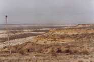PeninsulaValdez0001.jpg (2831 bytes)